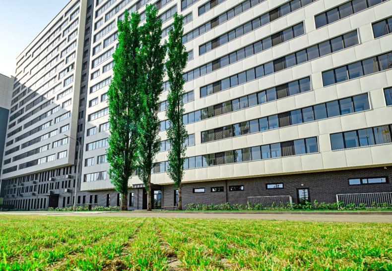 �� ������������� �������, �. ���